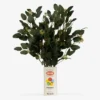 Krylon Ceramic Spray Can Vessel
