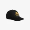 Unisphere Hat